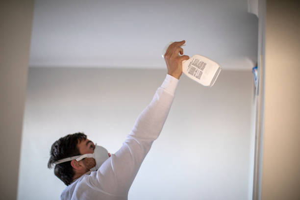 Best Health and Safety Mold Remediation in Enfield, NC